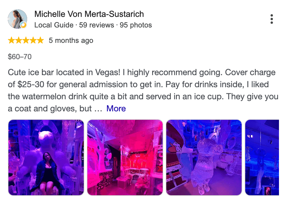 Five-star Minus5 Ice Bar review by Michelle Von Merta-Sustarich with venue photos
