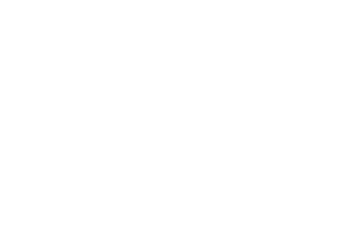 Last Level Fenton logo